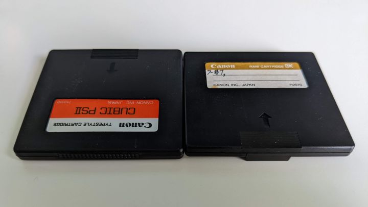 Cartridges for the Cubic PS font and 8kB RAM, showing the 40-pin connector on the Typestyle cartridge.